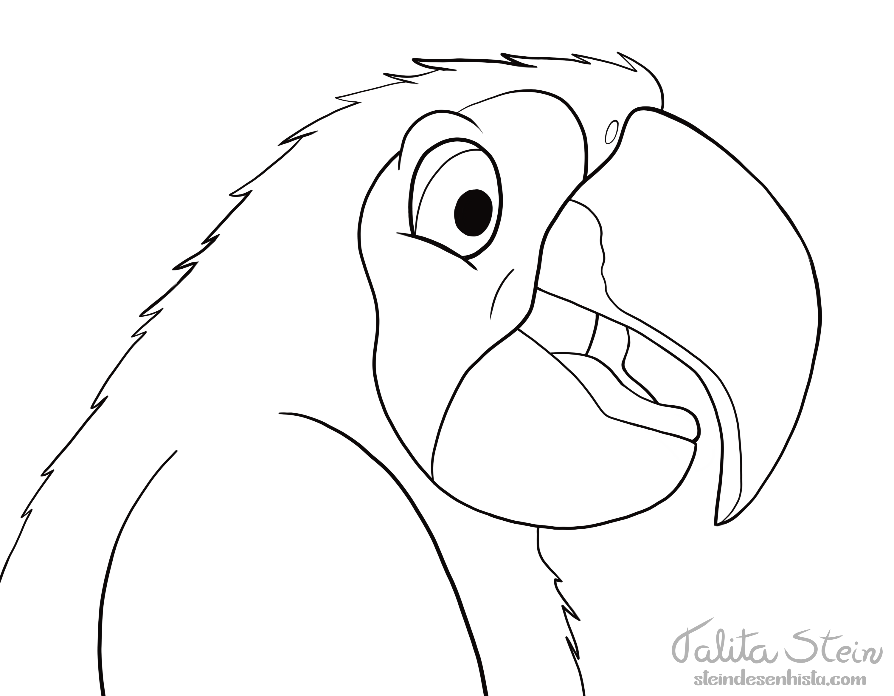 Desenho para pintar