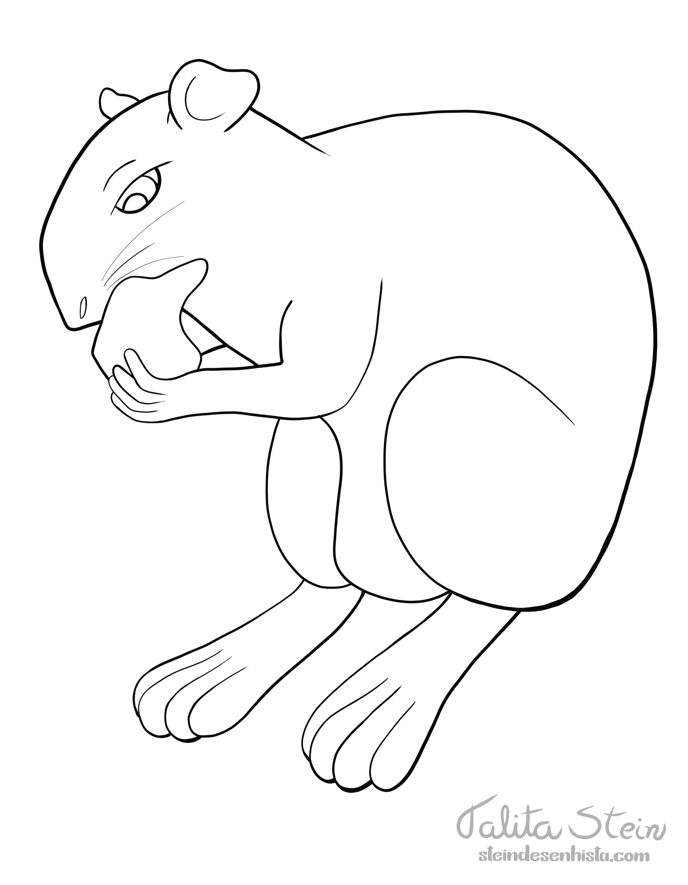 Desenho para pintar